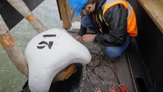 Slimme Infrastructuur | Innovatie in de Rotterdamse haven | #PortOfRotterdam