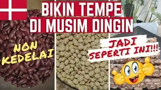 CARA MEMBUAT TEMPE NON KEDELAI SAAT MUSIM DINGIN DI DENMARK || EMANG BISA YA!?? COOKING SUNDAY E03