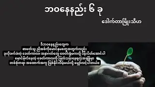 ဘဝနေနည်း ၆ ခု ၊ ဒေါက်တာ ဖြိုးသီဟ