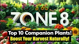 Top 10 Companion Plants for a Thriving Zone 8 Garden 🌱 | Boost Your Harvest Naturally!
