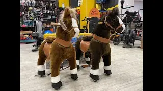 Механические лошадки Поницикл (Ponycycle). Видеообзор.