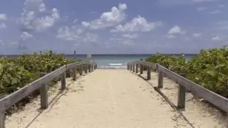 Eighty Seven Park, Miami Florida