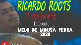 DJ Ricardo roots (Mel&ocirc; de mousa pedra 2020)