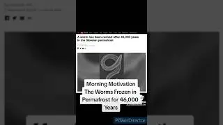 The Worms Frozen in Permafrost for 46,000 Years