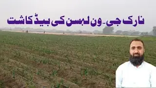Garlic Bed Planting On Drip Irrigation System || NARC G1 Farming || Bilal Kanju Official
