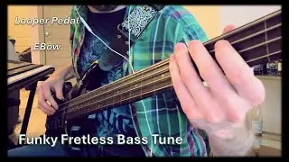 Funky Fretless Bass Tune (with Looper Pedal and EBow) | Flight of the Textured Polygons