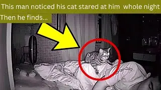 This man noticed that his cat kept on starring at him whole night