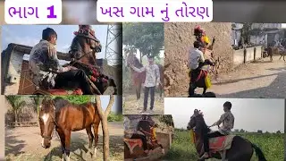 Kathiyawadi toran RAGHUBHAIVLOG ખસ ગામ નું તોરણ 