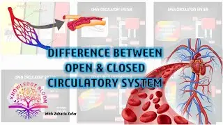 Circulation and body fluids | Open and Closed Circulatory Systems | Class 11 | Biology