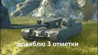 получаем отметки 205 aligator zorro blitz