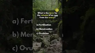 Biology Trivia Quiz Game. Interesting Biology Facts You May Not Know. #quiz #quizgame #quiztime