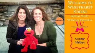 Indulge in the Virtual Journey to Argentina's Malbec Magic with Winephabet Street! Podcast