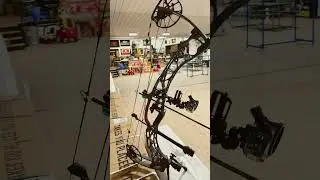 Hoyt Alpha 33X with Gas bow strings