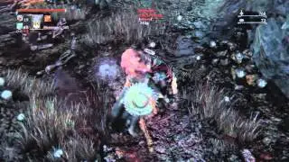 Bloodborne more messenger trolling