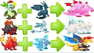 cruces de dragon city 2019