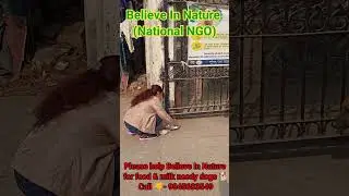 Dog milk Dog Milk program (Animals Care) Believe In Nature (National NGO)