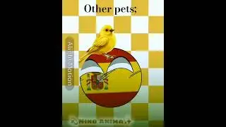 Pet🐕(Yes, I am Brazilian^^)#contryballs#nflopapfvr#cachorrocaramelo#memes#brasil