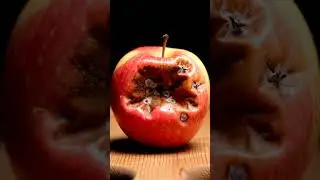 Honeycrisp's Eerie Decay: An 8-Second Time-Lapse