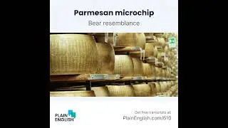 Edible microchips to track authentic Italian cheese | Learn English expression 'bear resemblance to'