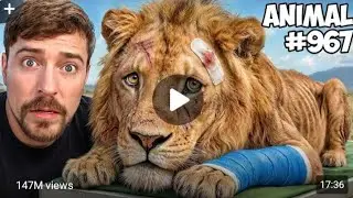 I saved 1,000 Animals from Dying #1million #viralvideo #trending 🔥🔥