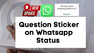 НОВОЕ ОБНОВЛЕНИЕ WHATSAPP: наклейка с вопросом и реакция на статус WhatsApp