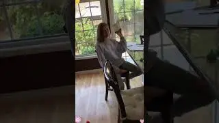 Air Horn Prank#funny #happy