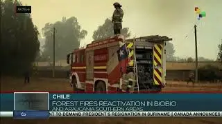 Forest fires in Chile continue to cause an emergency