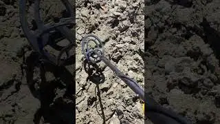 Farm treasure hunt 😉 with Garrett ACE 250 metal detector
