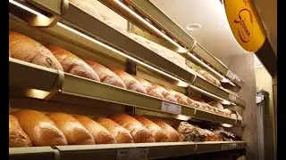 Steigende Preise: Ist der Stollen in Gefahr? Ein Besuch in einer Bäckerei in Dorfchemnitz
