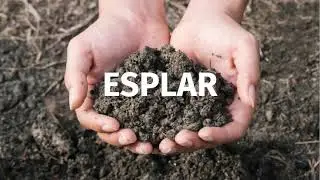 3.3 Eco-Branding Environmental Strategy - Green Business Strategy