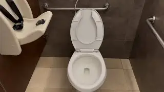 Туалет American Standard в ресторане Liverpool Plaza Cumbres в Монтеррее, Мексика. (Туалет в рест...