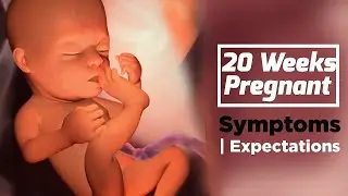 20 Weeks Pregnant: Baby Position & Week-by-Week Pregnancy Care