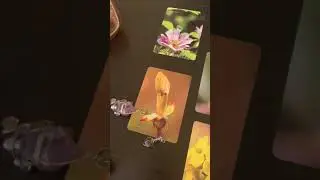 7 chakra Bach flower card reading