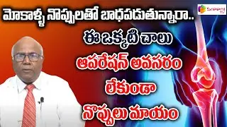 Knee Pain Causes & Treatment In Telugu | Dr CL Venkat Rao Videos | SreeniTV Health