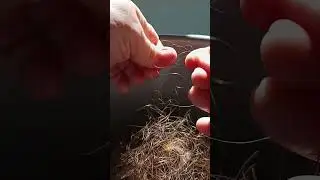 Finding split ends 
