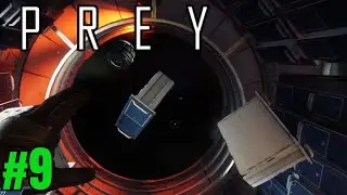 Don't Hit My Head, Again... | Prey Part 9