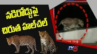 Chirutha Hulchal in Anantapur District Gudibanda Mandal | Chirutha on Road | Caught on Camera | TV5