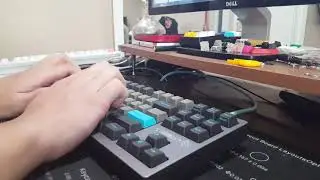 Kailh BOX White and MX Green Comparison