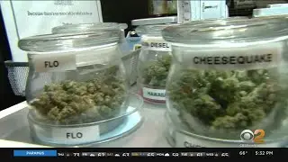 New Jersey Cannabis Regulatory Commission To Hold 1st Public Meeting