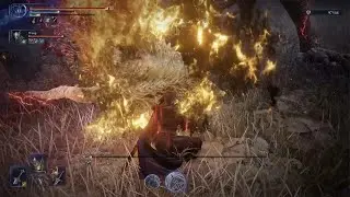 Rare dragon poise break