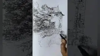 Pen & Ink Drawing 