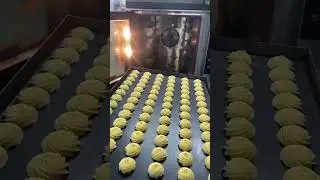 Multifunctional cookies extruder machine #cookie depositor machine #cookies machine