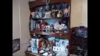 My Frozen Merchandise, Part One
