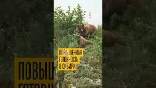 Сибиряки в опасности! Почему на улицу лучше не выходить
