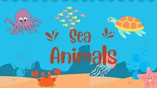 Sea Animals| Learning Sea Animals | Learning For Kids |