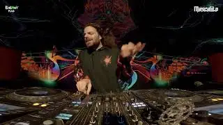 Mascalito Reveill oz Festival Set