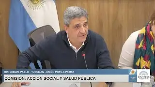 COMISIÓN COMPLETA: ACCIÓN SOCIAL Y SALUD PÚBLICA - 5 de agosto de 2025 - Diputados Argentina