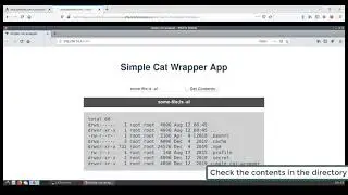 API Security Lab Walkthrough: Command Injection I