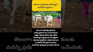 #Telangana #TelanganaFarmers #FarmerNews #RythuBharosa #AgricultureNews #FarmersSupport