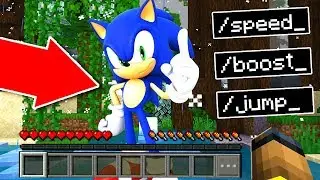 SONIC Gave Me MINECRAFT CHEATS! (Banned)